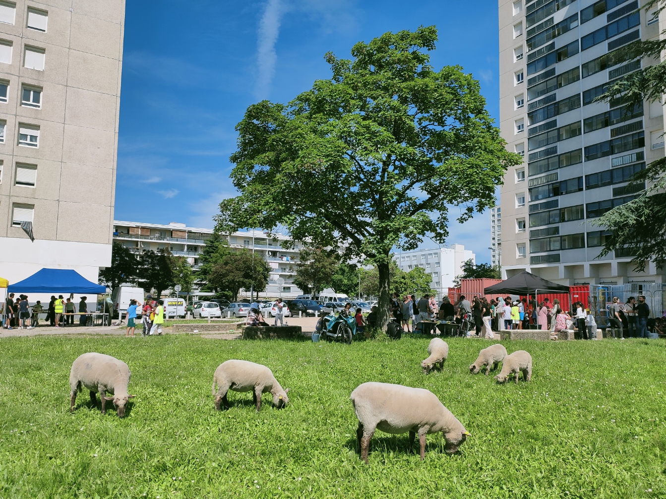 Vénissieux Minguettes